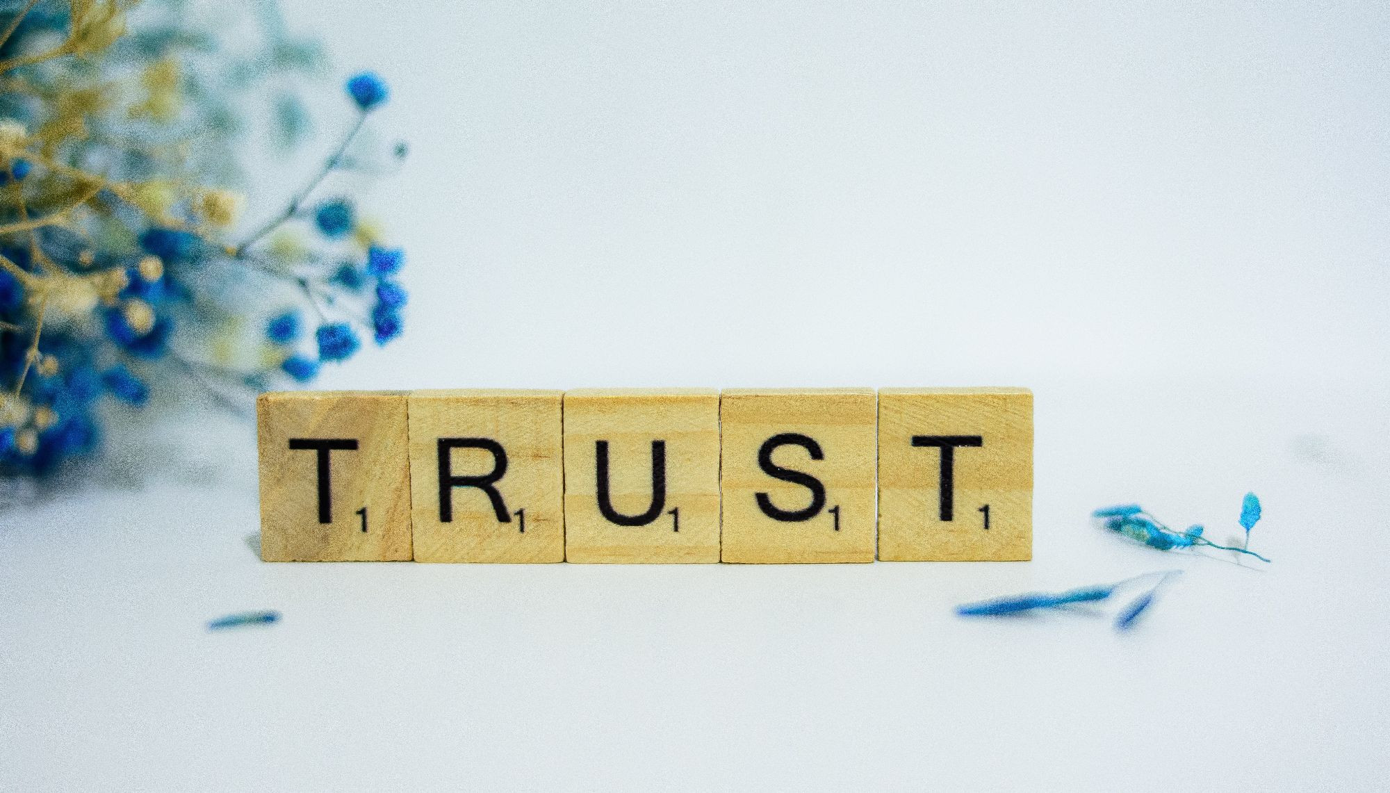 Who really wants to be a Trustee?