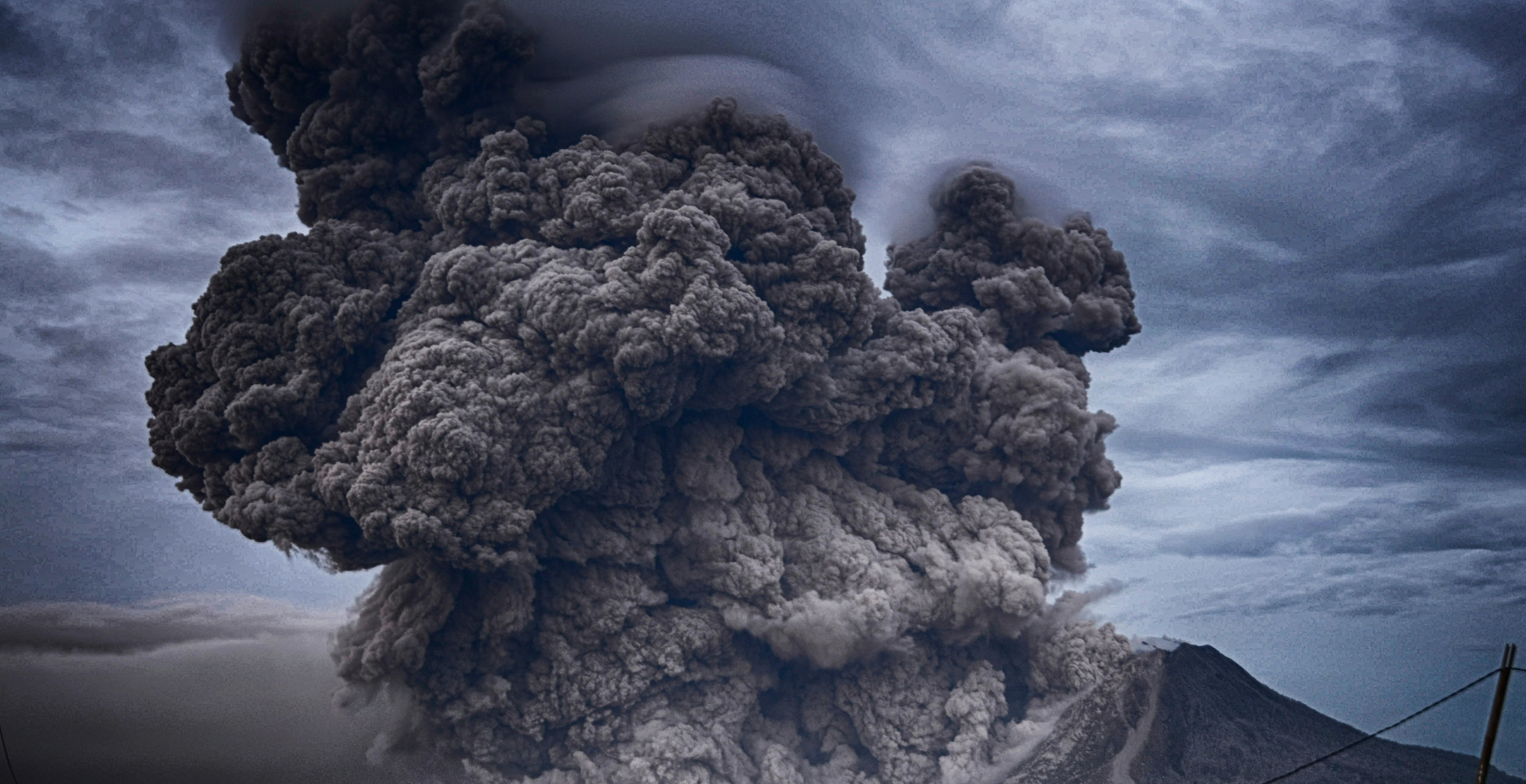 Whakaari/ White Island Eruption