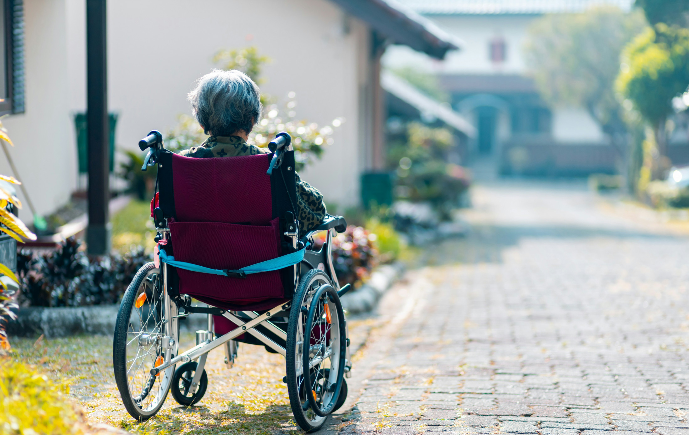 Review of adult decision-making capacity law